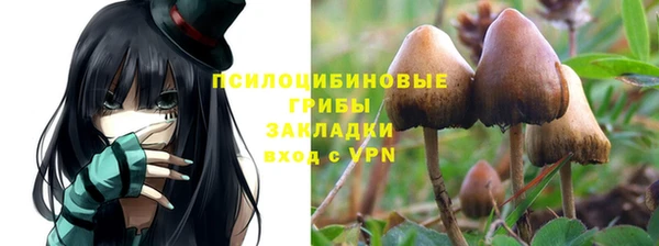 MESCALINE Зерноград