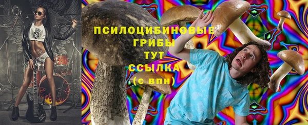 прущие крисы Зеленодольск
