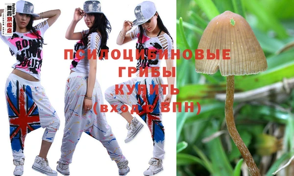 спайс Пенза