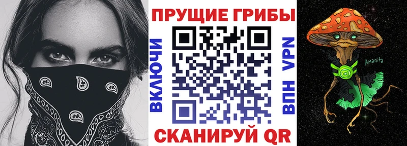 Купить где  Красный Холм  Псилоцибиновые грибы Psilocybine cubensis 
