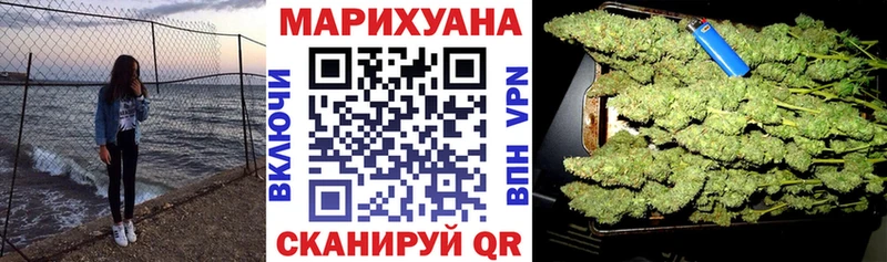 Купить где  Красный Холм  Конопля семена 